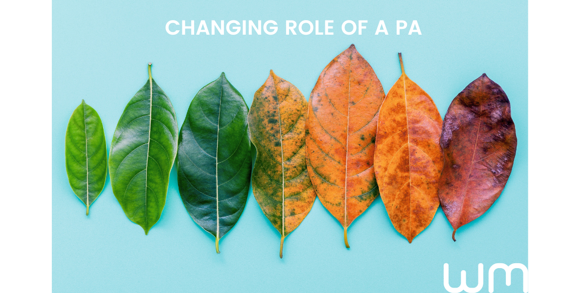 Evolving Excellence: How the PA Role Has Grown Over the Past Decade